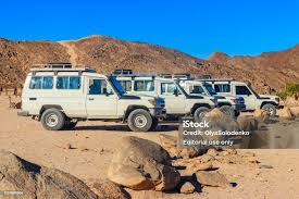 Mansour Automotive: Jejak Agen Mobil Legendaris Sejak 1975 yang Menguasai Pasar Mesir & Afrika